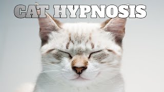 Cat Healing Frequency  CAT HYPNOSIS [upl. by Sucramraj]