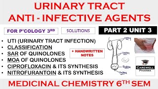 Urinary tract anti infective agents  Medicinal Chemistry 3  Pharmacology 6th semester [upl. by Rosemari647]