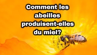 Comment les abeilles fabriquent le miel [upl. by Aimal824]