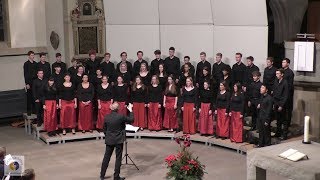 Kammerchor HelmholtzGymnasium Karlsruhe Stephan Aufenanger  Konzert Stiftskirche Stuttgart [upl. by Eniad]