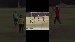 Pradeep Mishras lethal LBW Leftarm pace at its finest for Amaltas Bhopal Tigers  cricket T20 [upl. by Palecek560]