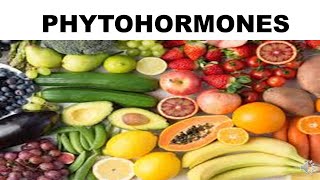 PHYTOHORMONES [upl. by Cleary]