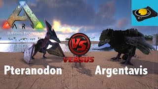 ARK INSIGHT  Pteranodon VS Argentavis [upl. by Albert]