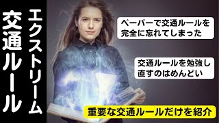 交通ルールはとりあえずこれだけ覚えておけ！ペーパードライバーや運転の初心者のための動画【愛知・岐阜・三重・滋賀のペーパードライバースクール】ペーパードライバー [upl. by Merrell]