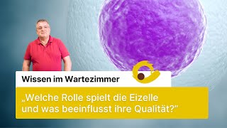 quotWelche Rolle spielt die Eizellequot  Wissen im Wartezimmer  mit Dr med Jürgen Krieg [upl. by Maclay]