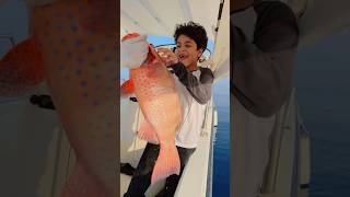 fishing صيد fish سمك بحر صيدالسمك sharklife اكسبلور الصيد ocean trendingshorts trending [upl. by Schuler459]