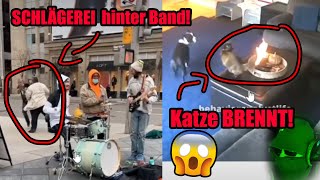 SCHLÄGEREI hinter Band  Katze BRENNT  Instagram Reels Reaction [upl. by Finnie85]