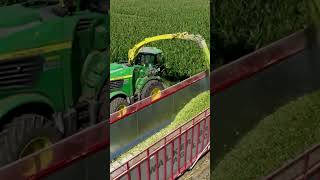 Discover How John Deere Chopper Revolutionizes Silage Chopping cow [upl. by Adnana489]