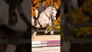 Who’s excited for Maclay Finals horse equestrianjourney [upl. by Caplan]