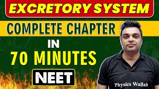 EXCRETORY SYSTEM in 70 minutes  Complete Chapter for NEET [upl. by Fabe]