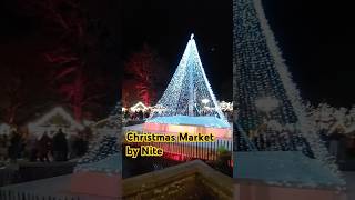 Karlsruher Christmas Market by Nite  Ein toller Weihnachtsmarkt 🎄 [upl. by Raama]