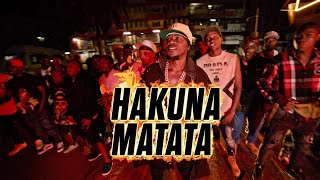 Hakuna Matata  Alien skin official Music video [upl. by Yrocaj]