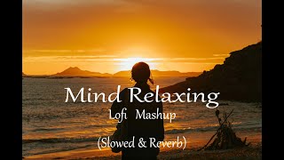 Mind Relaxing Mashup  LofiSlowedReverb  Chill  Relex  Refreshing  slowedandreverb [upl. by Eilrak]