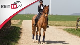 Homestory  Zu Besuch bei REITTVTeamreiterin Judith Kemper [upl. by Hniv]