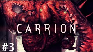 Carrion Walkthrough  Uranium Mines Part 3 [upl. by Zoarah]