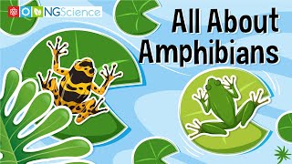 All About Amphibians [upl. by Refinnaej577]