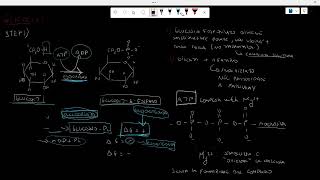 Glicolisi step 1 BIOCHIMICA [upl. by Ruder]