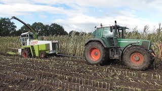 Claas Jaguar 690 stuck in the mud [upl. by Kersten]