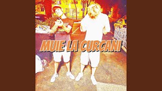 muie la curcani feat FLR [upl. by Malliw]