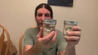 First stage Making dual extraction birch polypore tincture [upl. by Ahsienyt502]