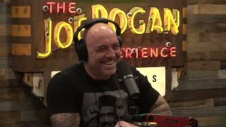 Joe Rogan Experience 1854  Rick Strassman [upl. by Kellie]