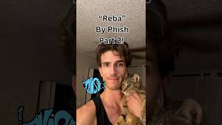 The CRAZIEST Phish song Part 2… 🐟 [upl. by Josephina]