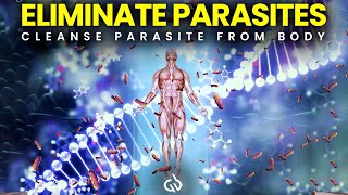 1150 Hz Parasite Cleanse Powerful Frequency to Eliminate Parasites [upl. by Aynad]