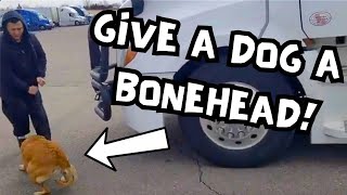 Give A Dog A Bonehead  Bonehead Truckers [upl. by Ttereve]