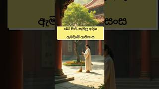 බෝ මළු සෑමලු ආදිය ඇමදීමේ ආනිසංස 🙏🙏😍 shortsfeed shortvideo [upl. by Aihsemek]