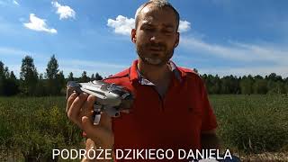 LATAJĄCY DZIKI DANIEL LEGALNE LATANIE DRONEM [upl. by Atilehs]