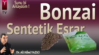 Bonzai  Sentetik Esrar Nedir  Nasıl Yaygınlaştı [upl. by Assiram]