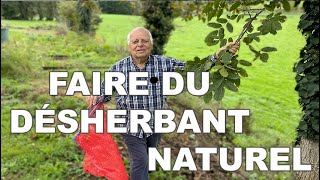 FABRIQUER son DESHERBANT  feuilles de noyer 🌱 100 ÉCOLOGIQUE [upl. by Nidla]