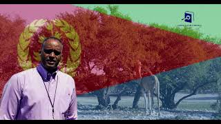 ኣልጌና ባህልን ምርምርን Algena Culture amp Research [upl. by Marb]