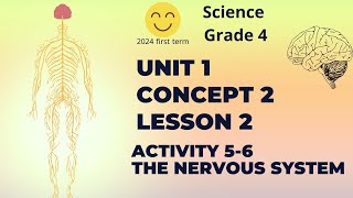 Concept 12 lesson 2 nervous system Senses at work شرح ساينس رابعه ترم اول المنهج الجديد الصف الرابع [upl. by Alyar]