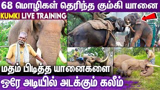 பாகன்  யானைக்குமான உறவு  68 மொழி வார்த்த தெரியும் Story of Kaleem Elephant amp Instructor elephant [upl. by Amlet450]