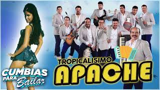 Tropicalisimo Apache Exitos 2024  Cumbias Para Bailar Toda La Noche [upl. by Lupe]