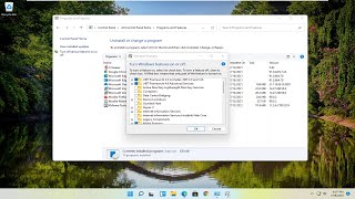 How to Fix MFPlatDll Missing on Windows 11 Solution [upl. by Giavani]