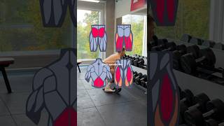 deadlifts with dumbbells dumbbell glutes [upl. by Valerle]