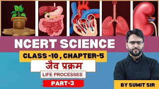 NCERT Class 10 Science Chapter 05 जैव प्रक्रम Part3 Life Processes [upl. by Niletac]