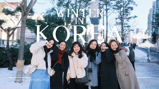 seoul diaries part 1  airbnb myeongdong food trip our first snow and more ˚ ༘♡ ⋆｡˚ [upl. by Kela172]