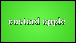 Custard apple Meaning [upl. by Elisabetta]