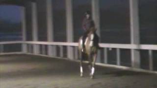 Dressage Exercise Half Pass Leg Yield Small ZigZag 2008 Ivetta Harte riding her mare Zena [upl. by Francyne]