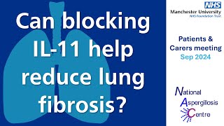 Medications in the pipeline  can blocking IL11 help to reduce lung scarring fibrosis [upl. by Elwaine]