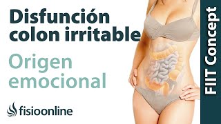 Origen emocional de la disfunción de colon irritable [upl. by Nnasor375]