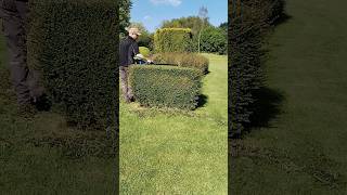 This HEDGE TRIM Is Satisfying shorts [upl. by Assilram]