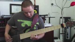 La Bella White Nylon Bass Strings Demo [upl. by Nner]