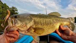 Fishing Topwater for BIG Bass in July [upl. by Candie969]