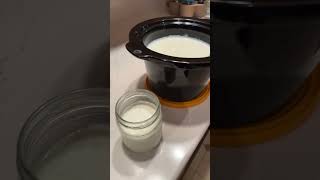 Homemade Yogurt using a Crockpot [upl. by Moyer]