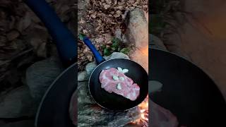 🌲FIRE 🔥COOKING🥩foryou fyp nature camping cooking food trending viralvideo viralshorts [upl. by Emmery]