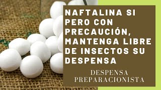 Naftalina sí pero con precaución mantenga libre de insectos su despensa [upl. by Tadeo]